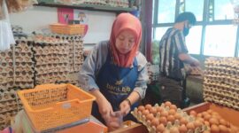 Dispangan Kota Cimahi Berdasarkan hasil pemeriksaan, ungkap Tita, sejauh ini pangan yang tersedia di pasar tradisional di Kota Cimahi masih cukup baik dan aman untuk dikonsumsi masyarakat.