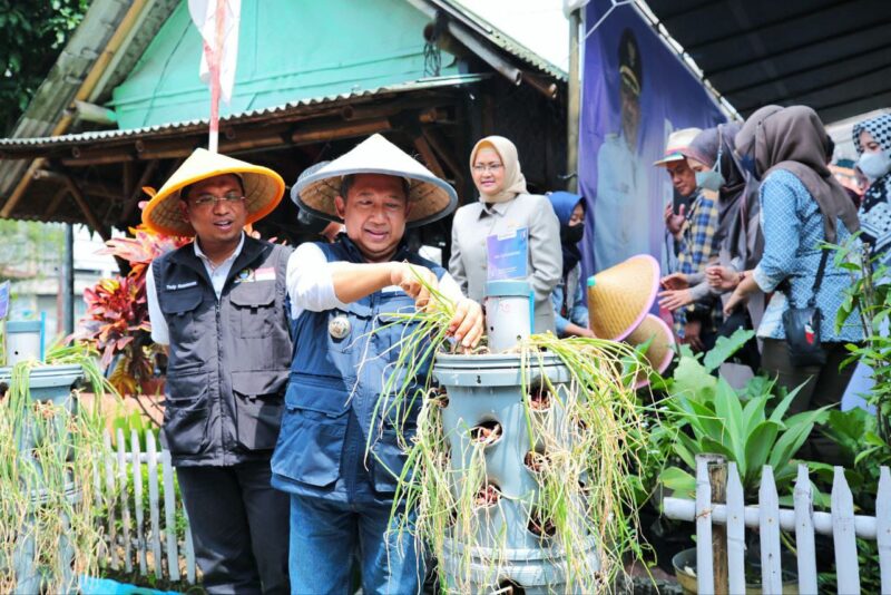 Walikota Bandung Yana Mulyana secara simbolis  melakukan Panen raya bersama Deputi Direktur Kantor Perwakilan BI Jabar, Yusuf Wicaksono di Buruan SAE Taruna RW 08 Kelurahan Kujang Sari Kecamatan Bandung Kidul, Jumat 20 Januari 2023. 