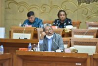 Komisi VII DPR RI Mulyanto mengaku prihatin dengan politisasi mobil Esemka ini. Menurutnya, tidak sepatutnya isu ini dibiarkan tanpa kejelasan karena berpotensi membodohi masyarakat. Oleh karena itu ia minta DPR mendorong agar masalah ini menjadi jelas.