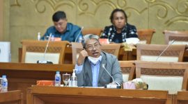 Komisi VII DPR RI Mulyanto mengaku prihatin dengan politisasi mobil Esemka ini. Menurutnya, tidak sepatutnya isu ini dibiarkan tanpa kejelasan karena berpotensi membodohi masyarakat. Oleh karena itu ia minta DPR mendorong agar masalah ini menjadi jelas.