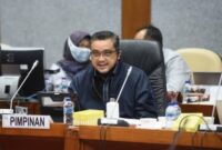 Wakil Ketua Komisi X DPR Dede Yusuf: bisa dilakukan (bebas skripsi), hanya harus dipahami agar literasi kemampuan menulis tetap tidak hilang,