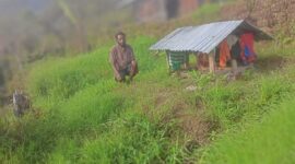 Seorang laki-laki warga Distrik Amuma, Kabupaten Yahukimo, Papua Pegunungan, saat bencana kelaparan melanda September-Oktober 2023.