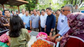 Kepala Dinas Ketahanan Pangan dan Pertanian (DKPP) Kota Bandung Gin Gin Ginanjar saat meninjau harga cabai rawit di pasar 
