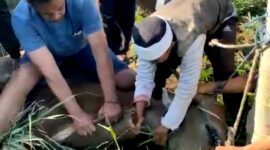 Penyembelihan Hewan Kurban di Rancaekek (Dapil-4) Kabupaten Bandung yang dilaksanakan pengurus DPC Demokrat Kabupaten Bandung. Senin (17/6/2024).