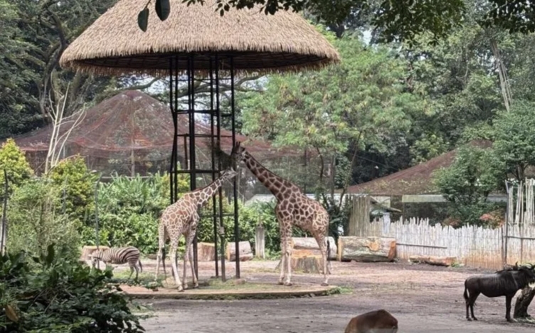 Kebun Binatang Bandung