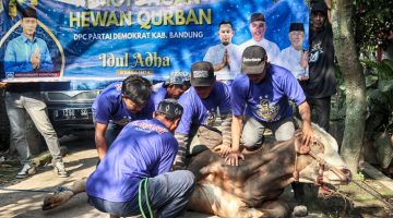 Demokrat Kabupaten Bandung Gelar Pemotongan Hewan Kurban, Perkuat Semangat Kebersamaan dan Kepedulian