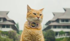 berita-pilihan-foto