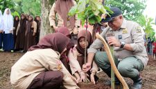 Anggota Komisi II DPRD Provinsi Jawa Barat, Saeful Bachri saat menanam Bibit Pohon Cacao bersama Satriwati Al Muhkilis Cangkuang Kabupaten Bandung