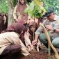Anggota Komisi II DPRD Provinsi Jawa Barat, Saeful Bachri saat menanam Bibit Pohon Cacao bersama Satriwati Al Muhkilis Cangkuang Kabupaten Bandung